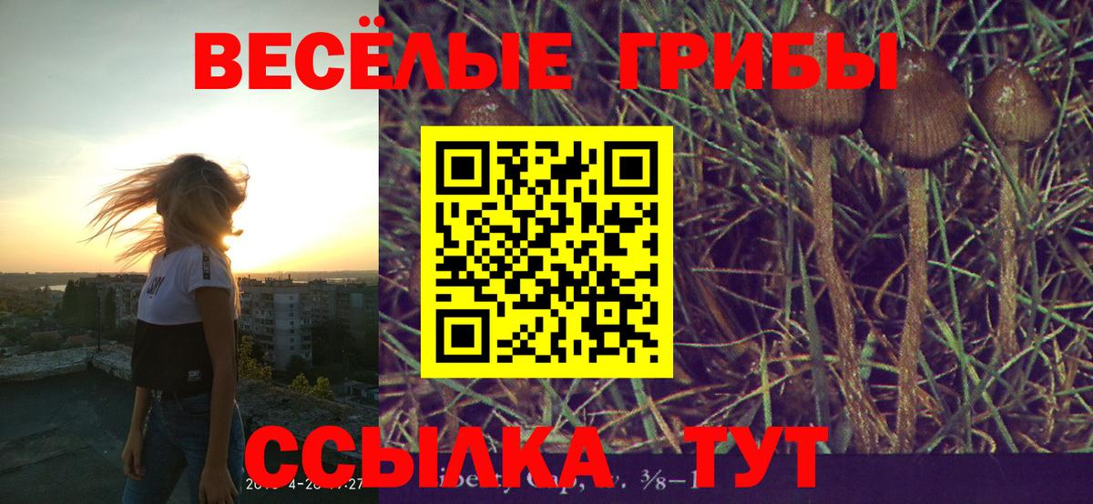 Псилоцибиновые грибы мухоморы Белая Калитва